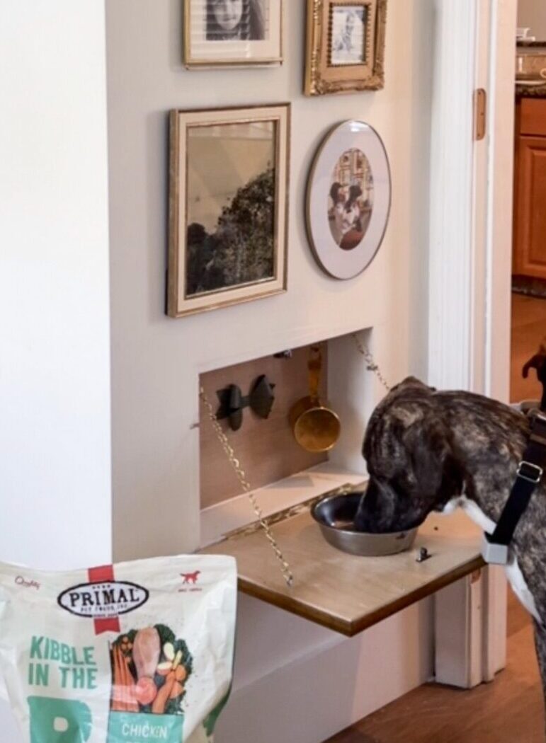 Hidden Wall Mount Dog Feeding Station